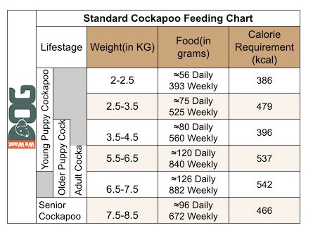 Image result for Cockapoo Puppy Weight Chart