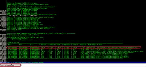 Image result for BL2 Keyboard Buffer Overflow