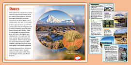 New Zealand Habitats Poster