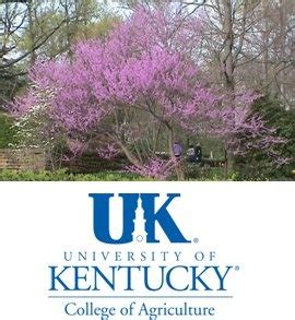 Image result for Horticulture Tips