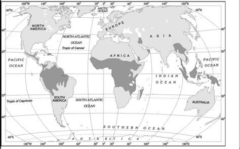 Image result for Primary Activities Class 12 Notes
