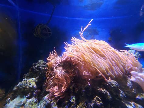 SEA Discovery Center, Poulsbo, WA: Information, Tickets and Reviews