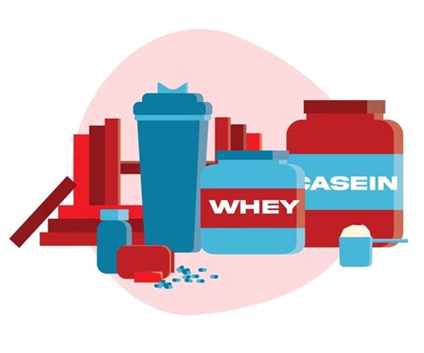 Whey protein ingredients: The vital key role of the supplement ...