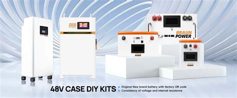 Company Overview - Shenzhen Braun Power Energy Storage Co., Ltd.