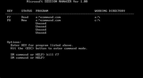 Image result for Run a Program Using Mdos