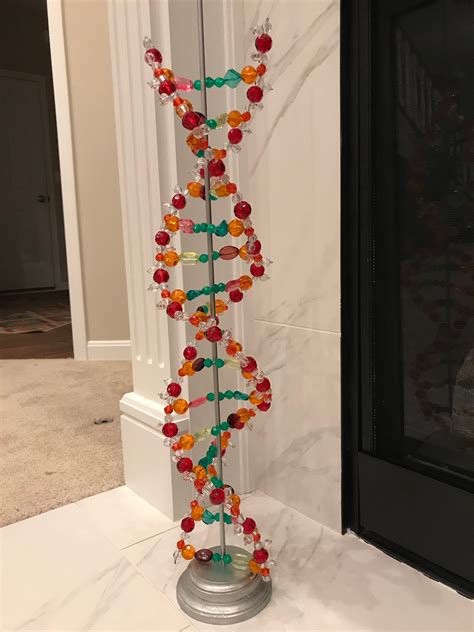 DNA Model Project 的图像结果