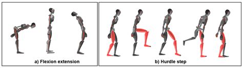 Changes in Trunk Kinematics in People with Chronic Non-Specific Low ...