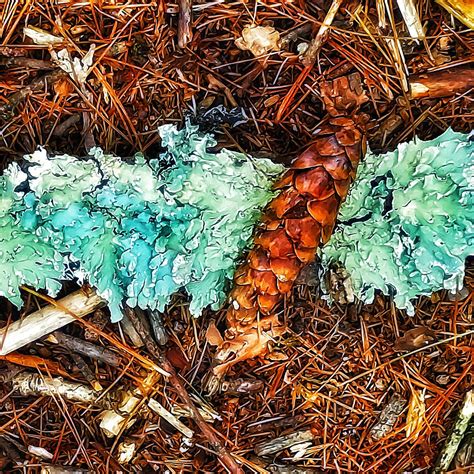 WHIP HILL (2025) All You Need to Know BEFORE You Go (with Photos ...