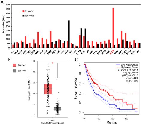 Tryptophanyl-Transfer RNA Synthetase Is Involved in a Negative Feedback ...