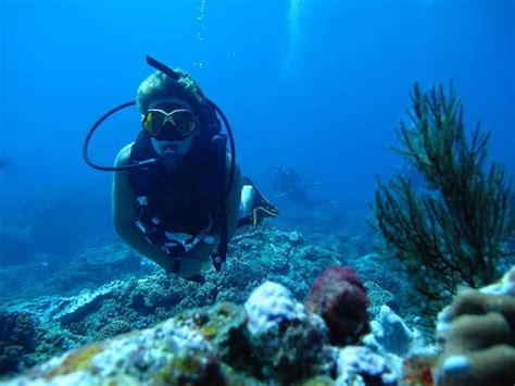 Amoray Diving (Sodwana) - 2022 What to Know Before You Go (with Photos ...