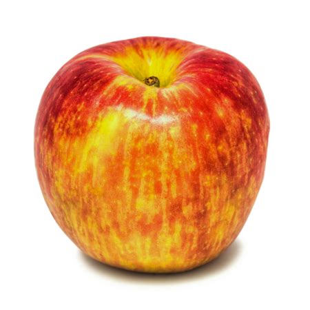 Image result for Apple System.Data