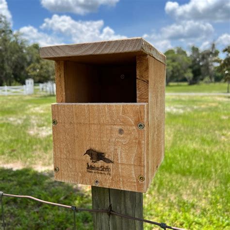 Image result for Bird Netting Box