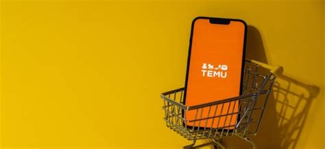 Shopping-App Temu: Wie seriös ist die Schnäppchen-App wirklich ...