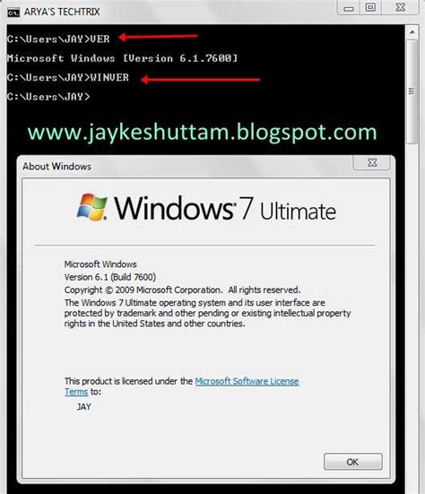 Image result for Cmd Tree Code