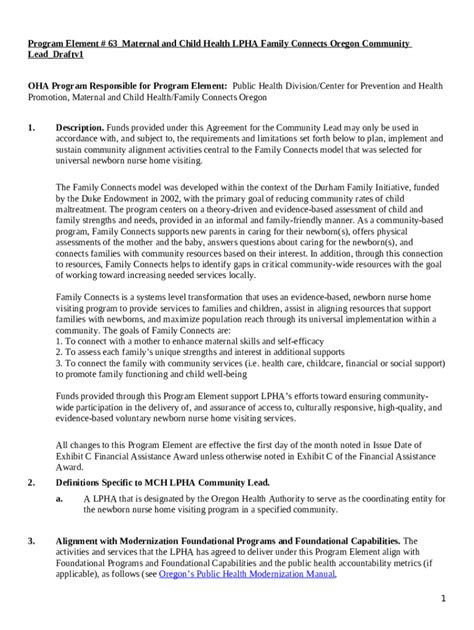 Maternal, Child and Adolescent Health (MCAH) Services Doc Template ...