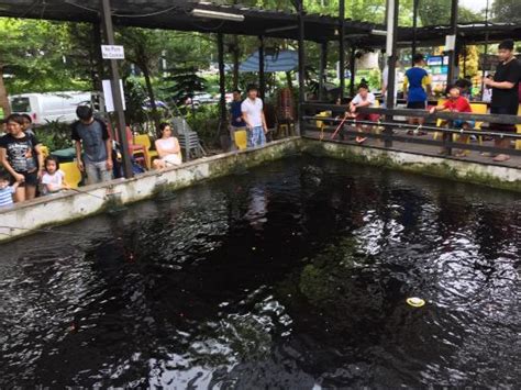 East Coast Prawning (Singapore) - All You Need to Know BEFORE You Go