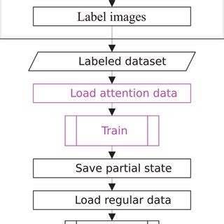 Training Process Flowchart 的图像结果