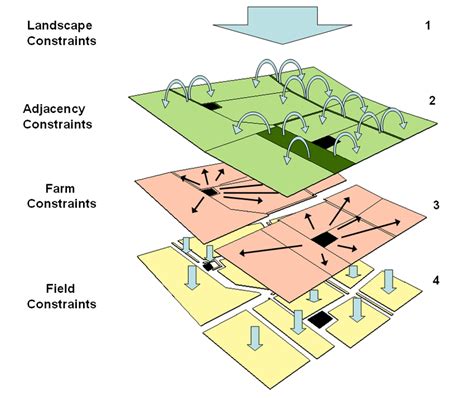 Constraint Optimization 的图像结果