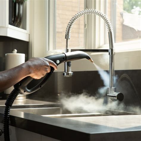 Reliable Brio Plus 400CC Continuous Steam 20-ft Multipurpose Steam ...