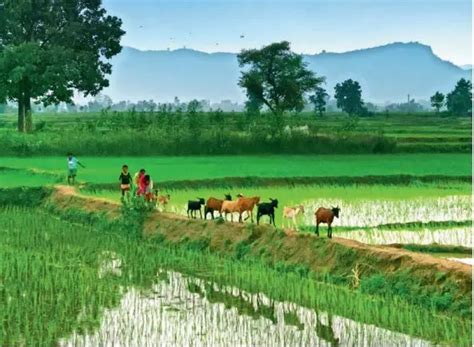 'A positive IOD can enable a normal Indian monsoon' | India News ...