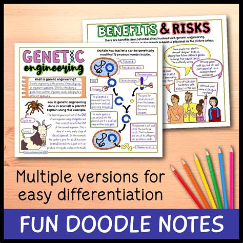 Image result for Genetic Engineering Concept Map