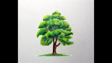 Image result for Colorful Tree Drawing