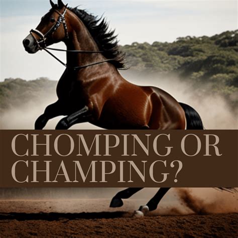 Is It Chomping or Champing At The Bit? - Reliable Narrator