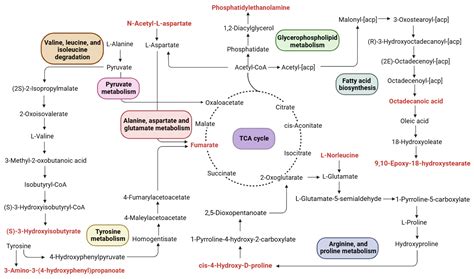 Mechanism of Functional Compound Fruit Drinks in Regulating Serum ...
