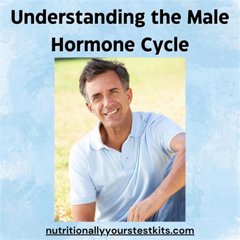 Male Hormone Cycle - Do Men Have Hormonal Cycles Like Women?