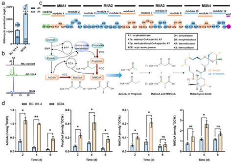 Fermentation | Special Issue : Production of Nutritional and Functional ...