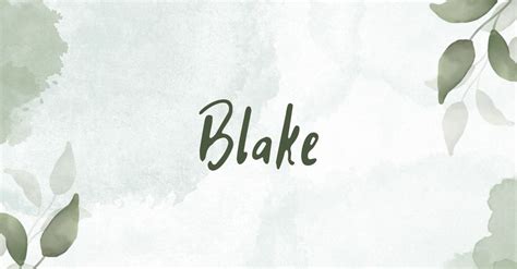 Name Blake: meaning, symbolism, spiritual meaning and number of expression