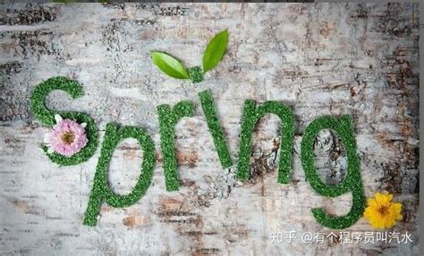 Springting Phases 的图像结果