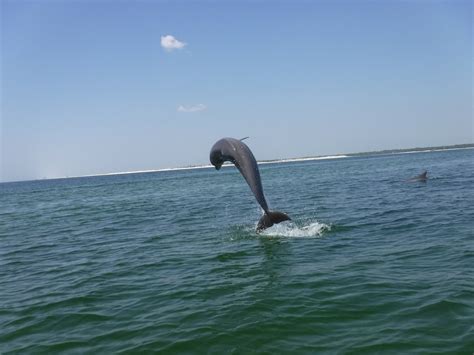 BONIFAY WATER SPORTS (2026) All You Need to Know BEFORE You Go (with ...