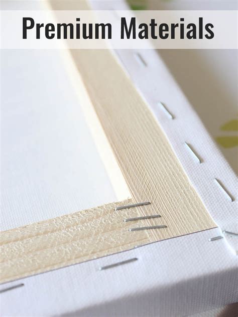 Tropical Aura - Set of One (Variant 1) – Greenkin