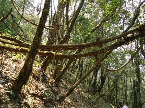 PULIE BADZE (2025) All You Need to Know BEFORE You Go (with Photos ...