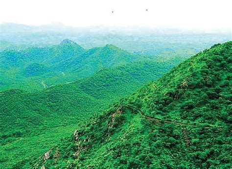 'Scrap proposed wildlife safari project, save Aravalli hills,' say ...