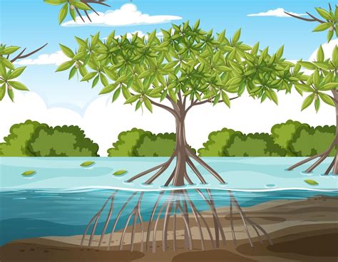 Mangrove Vectors - Download Free High-Quality Vectors from Freepik ...