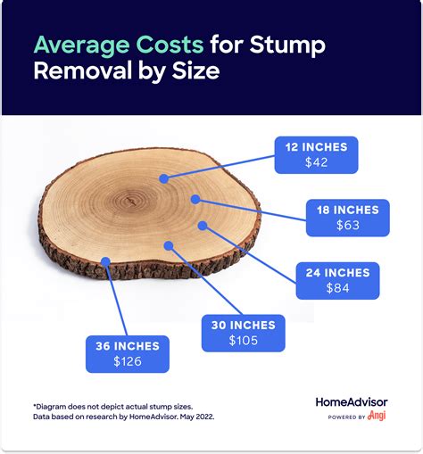 How Much Does Stump Removal Cost?