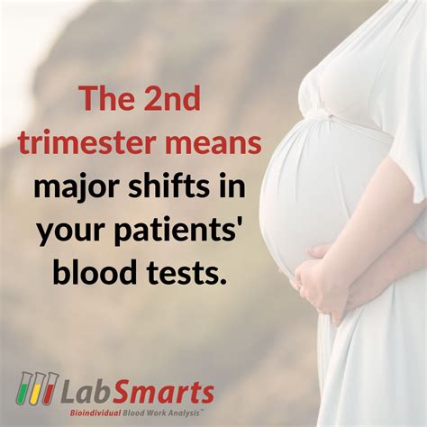 Pregnancy blood tests in the second trimester