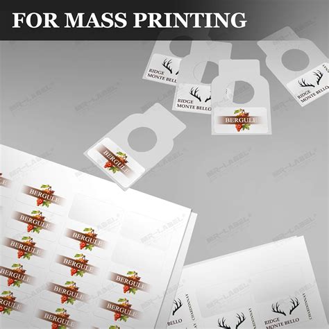 Buy Mr-Label - Plastic Wine Bottle Tags – Reusable White Bottle Neckers ...