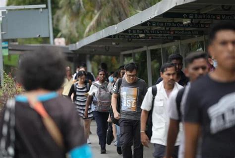 《新加坡人口简报》最新数据解读：赴新留学意愿加强