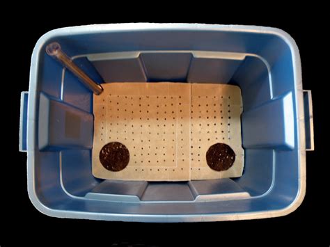 Storage Containers Reuse 的图像结果