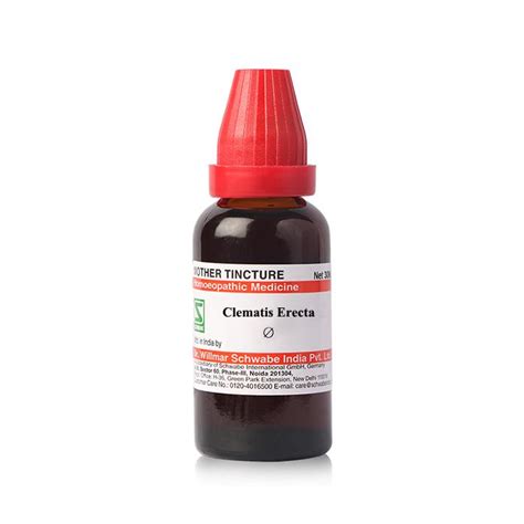 Dr. Willmar Schwabe Clematis Erecta Ø Liquid 30 ml - Multimedicos