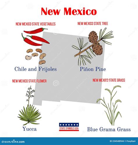 New Mexico. Set of USA Official State Symbols Stock Vector ...