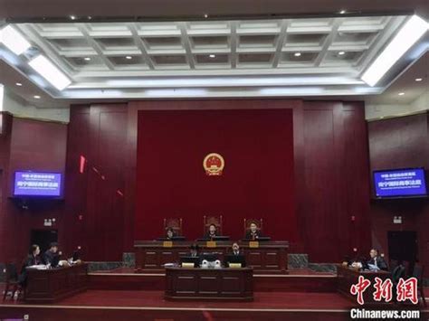 南宁国际商事法庭首次运用线上诉讼平台审理涉外商事案件-中国侨网
