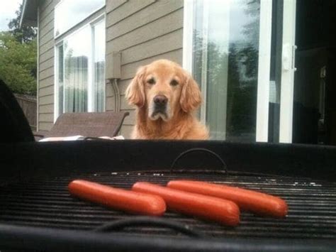 Image result for Funny YouAlwaysWin Cod Zombies