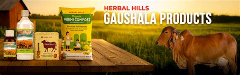 Buy Ayurvedic Medicine Online – Herbal Hills Wellness