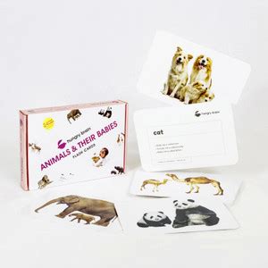 hungry brain ANIMALS & THEIR BABIES flash cards-Easy & fun way of ...
