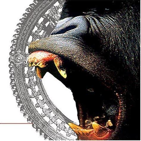 Split: Burmese: Amazon.in: Music}