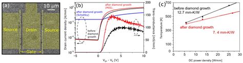 Research Progress in Capping Diamond Growth on GaN HEMT: A Review
